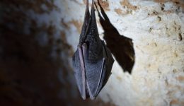 tine-ivanic-Zx-oqevBfT4-unsplash
