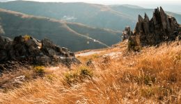 afonso-coutinho-3XMm6v9h-qU-unsplash_optz
