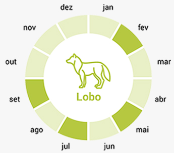 smconsulting-lobo-calendario-pt1