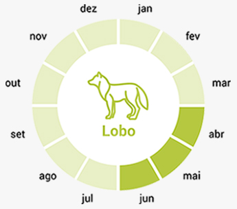 smconsulting-lobo-calendario-pt2