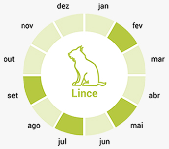 smconsulting-lobo-calendario-pt3
