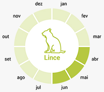 smconsulting-lobo-calendario-pt4