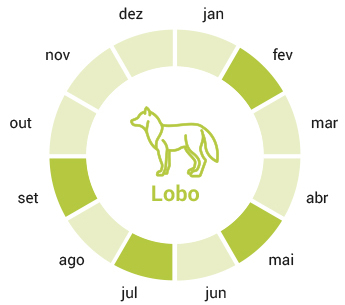 smconsulting-lobo-calendarpt1a