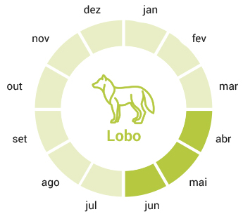 smconsulting-lobo-calendarpt2